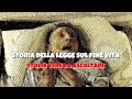 Legge sul fine vita nel Paese di Giorgia Meloni - Italian podcast with transcript