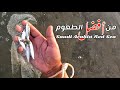 هذا الطعم تدوووخ معاه الأسماك وما تقاومة جربه وبتتفاجأ بالنتائج 