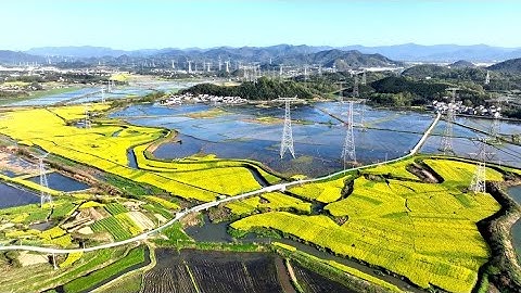 GLOBALink | Belarusian student explores how drones inspect power lines in China