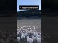 До конца Мусс для лица #333445379Реклама: ООО «АРАВИЯ ПРОФЕШНЛ», ИНН 9722000768, erid: р2VtzqwfiWPy