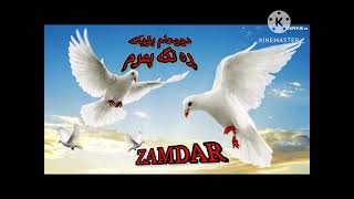 Zamdar Raper Douha