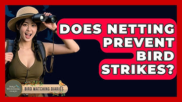 Does Netting Prevent Bird Strikes? - Bird Watching Diaries