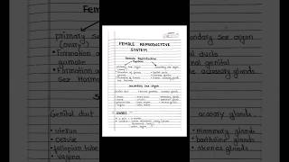 ✨ female reproductive system, nursing notes, Anatomy and physiology