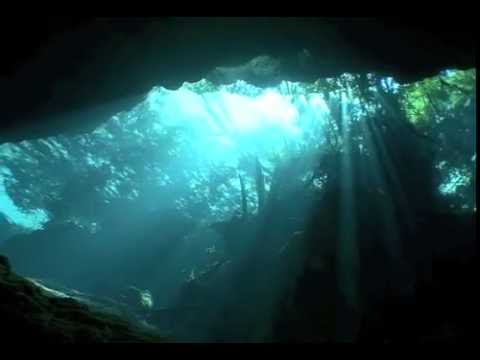 セノーテダイビング 2011 (Cenote Chac-Mool) - YouTube