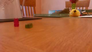 gummy bears: the wizard