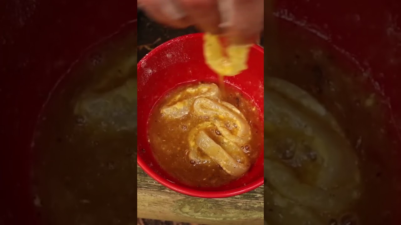 Catch It - Cook It - Eat It   #fishing #squidgame #cooking