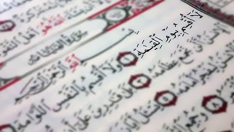 تلاوة خاشعة 😴 تريح الاعصاب 🎧 من سورة القيامة 🥺