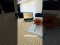 Vatandaşlık tekrarı için mini mini bir vlog 🌸
