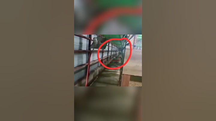 KIRA” KENAPA YA POCONG SUKA ADA DI KANDANG AYAM? #viral #shorts #penampakan #pocong #gunung #cerita