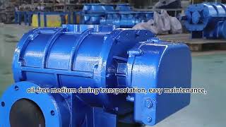 Three - lobe Roots Blower