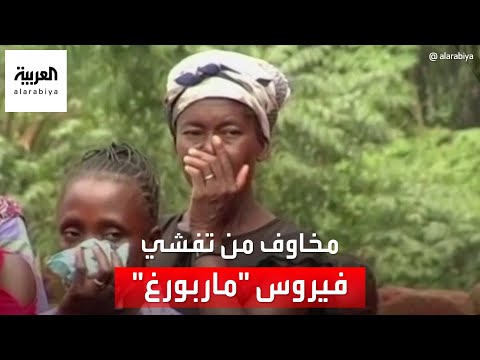 على خ طى كورونا مخاوف من تفشي فيروس ماربورغ المميت
