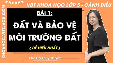Vở bài tập Khoa học Lớp 5 Bài 1: Đất và bảo vệ môi trường đất - trang 3, 7 | Cánh diều