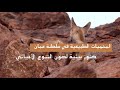 المحميات الطبيعية في سلطنة عمان المحميات الطبيعية في سلطنة عمان