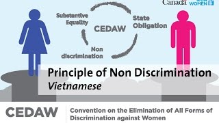CEDAW - Principle of Non Discrimination (Vietnamese)