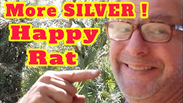 More SILVER !! New permission is fantastic. Tarsacci MDT 8000 metal detecting