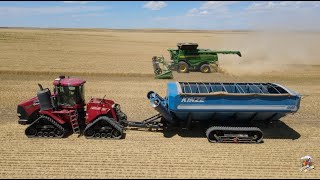 2023 Anton Colorado Wheat Harvest with Meinke Farms