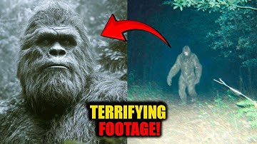 The Most Terrifying Bigfoot Footage Ever Caught on Camera