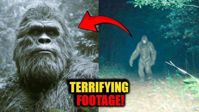 The Most Terrifying Bigfoot Footage Ever Caught on Camera - YouTube