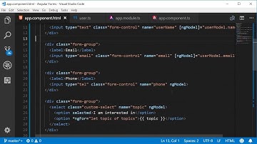 Angular Forms Tutorial   6   Binding Data to a Model