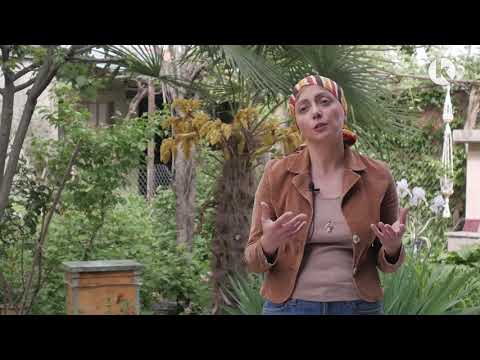 საგამოფენო სივრცე თელავში