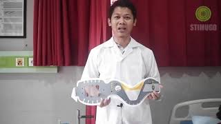 Video pembelajaran manajemen airways 1 pemasangan servical collar dan Teknik buka jalan napas screenshot 5