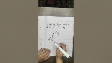 Syntax Trees in English Linguistics I Sentence Structure in Syntax #syntax #english #linguistics