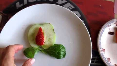 Classical Conversations, Snack Idea explained. Science, Cycle 1, Week 11