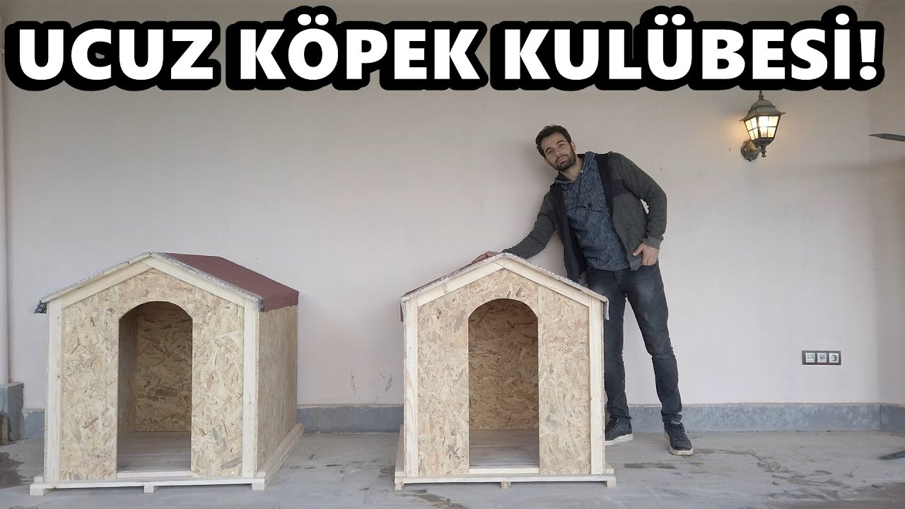 Kopek Kulubesi Aldim Fiyat Cok Uygun Youtube