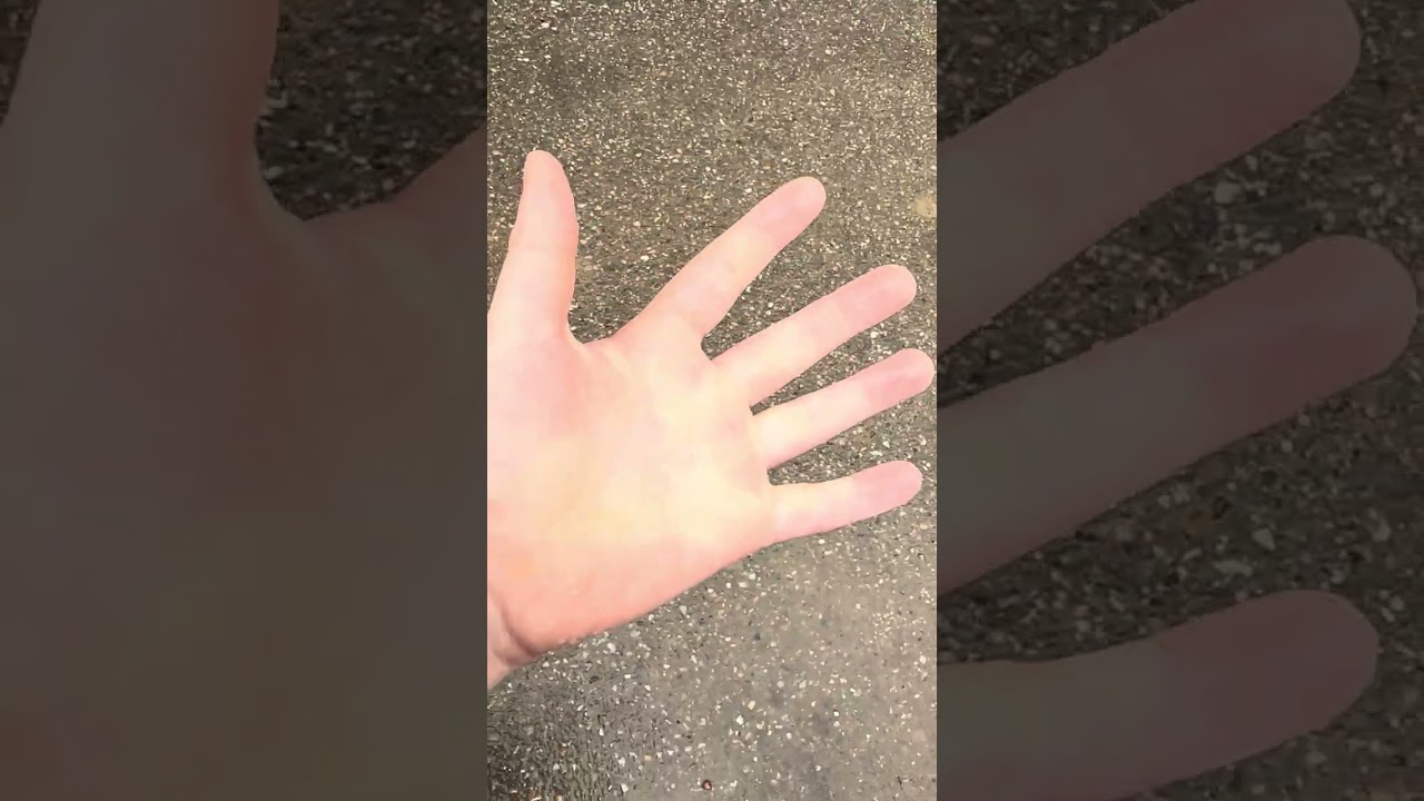 Daily vlog 1:Biserica Rohia