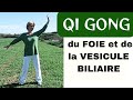 Qi gong du foie et vesicule biliaire printemps