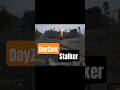 #аномалия #сталкер #dayzmod #stalkergame #dayzgamers #dayzvr #dayz #gaming #игры #games #дэйз
