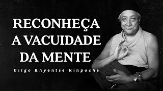 Dilgo Khyentse Rinpoche - Reconheça a Vacuidade da Mente