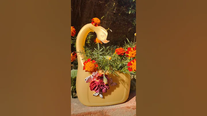 Creative Gardening with Repurposed Oil Cans