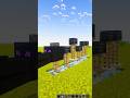 Craziest enderdragon build #minecraft #minecraftbuilding #memes