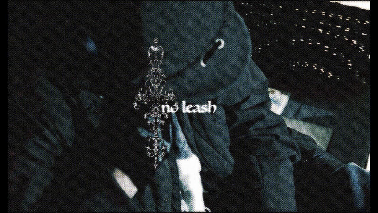 NO LEASH