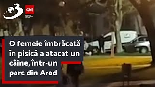 O femeie îmbrăcată în pisică a atacat un câine, într-un parc din Arad