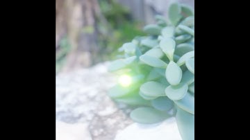 Blender Eevee Render Day005