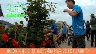 Nhộn Nhịp Chợ Hoa Cẩm Phả 29 Tết Canh Tý- Quê Quảng Ninh