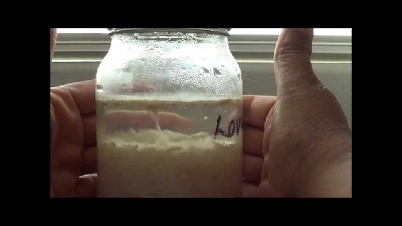 Day 88 Water Experiment Changing Negativity Using Positive Words YouTube