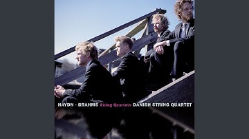 Brahms: String Quartet No. 2 in A Minor, Op. 51 No. 2: IV. Finale. Allegro non assai