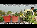 गमलों का चुनाव कैसे करें || Basic gardening with Ramvilas ji || Ep. 01