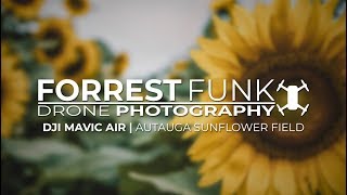 Autauga Sunflower Field | DJI Mavic Air