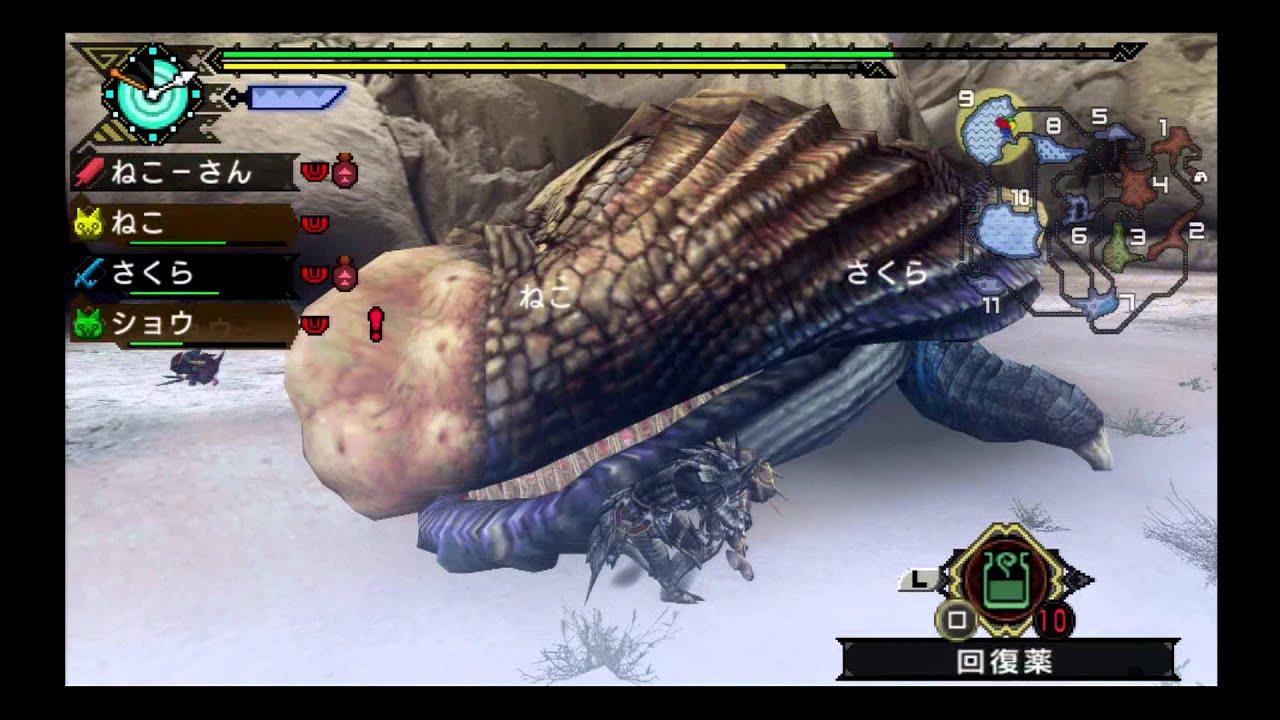 Monster Hunter P3HD: Hapu