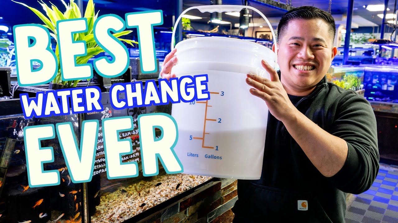 HOW TO DO AN AQUARIUM WATER CHANGE | PYTHON | SEACHEM | BRIGHTWELL ...