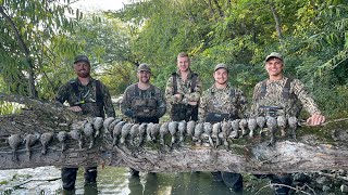 Public Land Duck Hunting 5 Man Limit! (Minnesota Early Teal 2023)