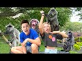 Monkeys Attacked us in Malaysia!