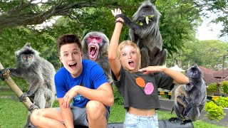 Monkeys Attacked us in Malaysia!