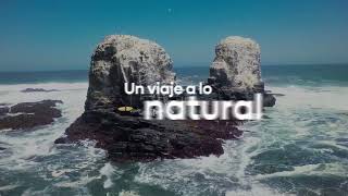 Visita la región de O'Higgins en Chile.