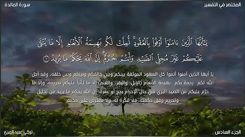 سورة المائدة | تركي عبيد المري | حفص عن عاصم