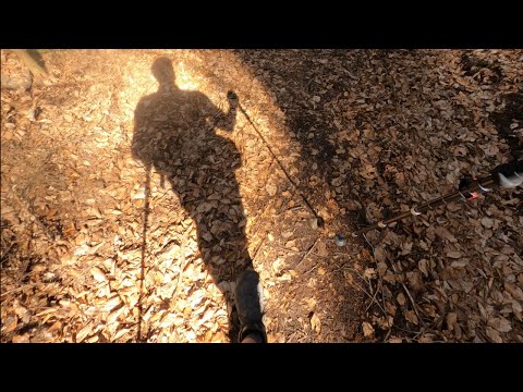 Virtual walk/hike in
